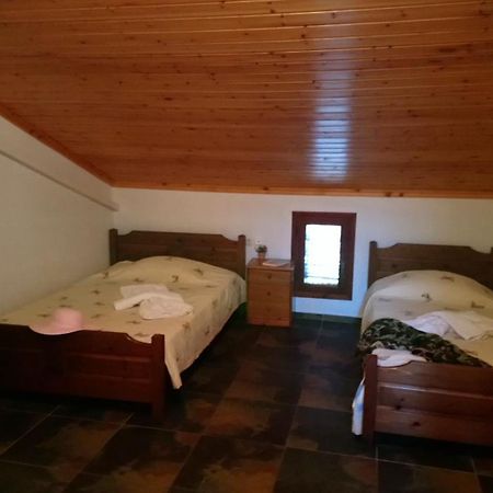 Kiwi Kastle Aparthotel Néa Fókaia Εξωτερικό φωτογραφία